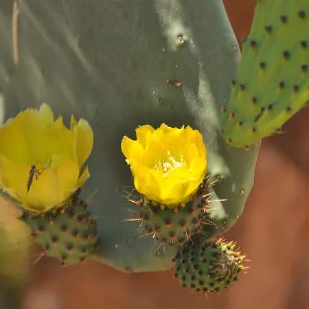 Verdeblu Bed & Breakfast 3*